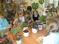 Пакажы адгадку (4)