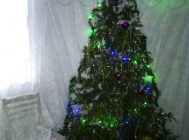 Кто всё знает про Новый год (2)