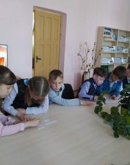 IMG_20230512_124816